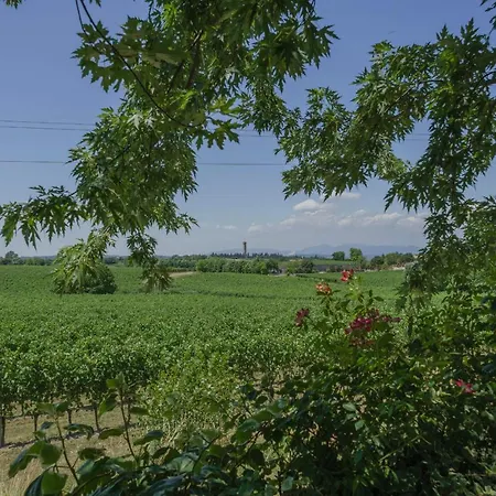 La Casina - Con Giardino E Piscina Pozzolengo