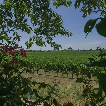 La Casina - Con Giardino E Piscina * Pozzolengo