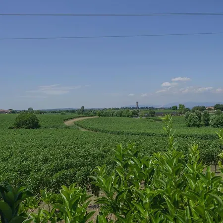 La Casina - Con Giardino E Piscina Pozzolengo